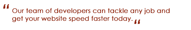 Our team of developers can tackle any job and get your website speed faster today. 